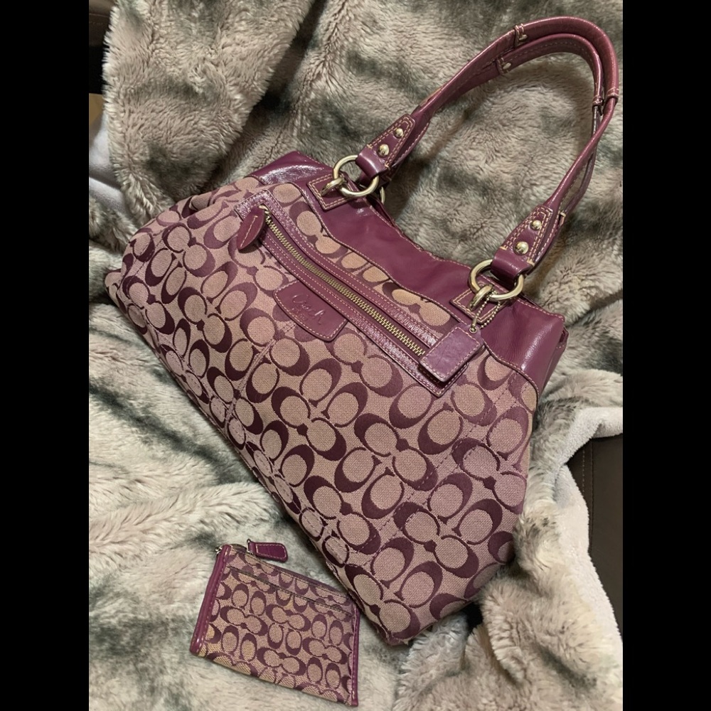 Coach Signature Print & Leather Handbag